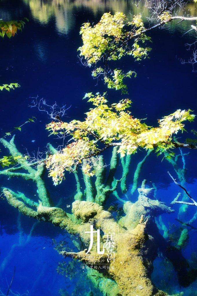 王者荣耀s31更新时间